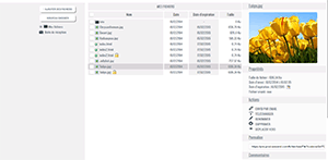 DropCloud opslagmodule voor bestanden